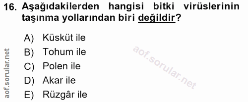 16. soru: Aşağıdakilerden hangisi bitki virüslerinin taşınma yollarından biri değildir? A) Küsküt ile B) Tohum ile C) Polen ile…