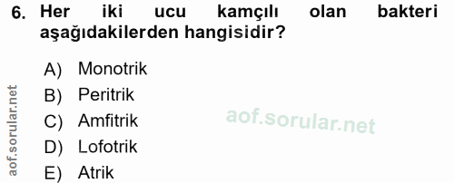 6. soru: Her iki ucu kamçılı olan bakteri aşağıdakilerden hangisidir? A) Monotrik B) Peritrik C) Amfitik D) Lofotrik E) Atrik