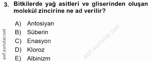 3. soru: Bitkilerde yağ asitleri ve gliserinden oluşan molekül zincirine ne ad verilir? A) Antosiyan B) Süberin ar.ne C) Enasy…