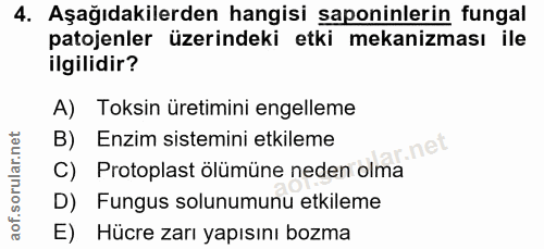 4. soru: Aşağıdakilerden hangisi saponinlerin fungal patojenler üzerindeki etki mekanizması ile ilgilidir? A) Toksin üretimini…