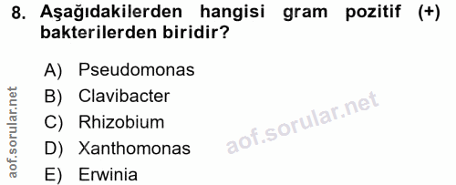 8. soru: Aşağıdakilerden hangisi gram pozitif (+) bakterilerden biridir? A) Pseudomonas B) Clavibacter C) Rhizobium D) Xanthom…