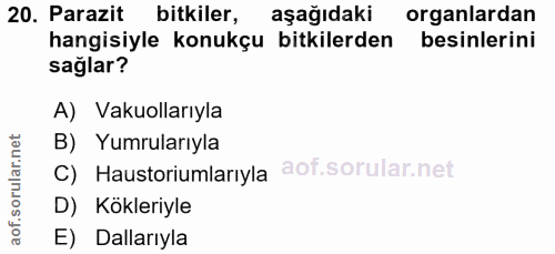 20. soru: Parazit bitkiler, aşağıdaki organlardan hangisiyle konukçu bitkilerden besinlerini sağlar? A) Vakuollarıyla B) Yumrul…