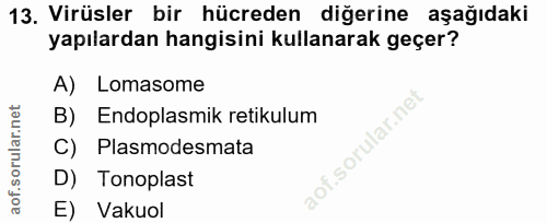 13. soru: Virüsler bir hücreden diğerine aşağıdaki yapılardan hangisini kullanarak geçer? A) Lomasome B)S Endoplasmik retikulum…