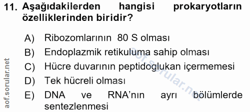 11. soru: Aşağıdakilerden 11. Asagidakilerden hangisi özelliklerinden biridir? A) Ribozomlarının 80 S olması B) Endoplazmik ret…