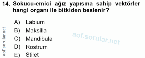 14. soru: Sokucu-emici ağız yapısına sahip vektörler hangi organı ile bitkiden beslenir? A) Labium B) Maksilla C) Mandibula D)…