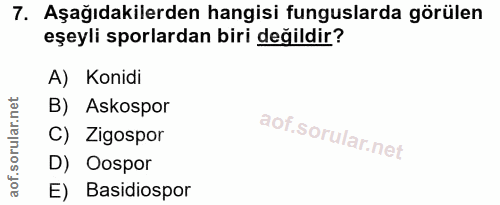 7. soru: Aşağıdakilerden hangisi funguslarda görülen eşeyli sporlardan biri değildir? A) Konidi B) Askospor C) Zigospor D) Oos…