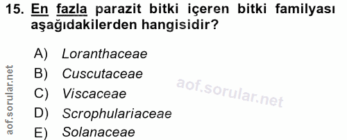 15. soru: En fazla parazit bitki içeren bitki familyası aşağıdakilerden hangisidir? A) Loranthaceae B) Cuscutaceae C) Viscaceae…