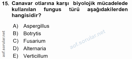 15. soru: Canavar otlarına karşı biyolojik mücadelede kullanılan fungus türü aşağıdakilerden hangisidir? A) Aspergillus B) Botr…