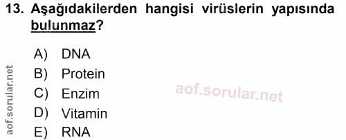 13. soru: Aşağıdakilerden hangisi virüslerin yapısında bulunmaz? A) DNA B) Protein C) Enzim D) Vitamin E) RNA