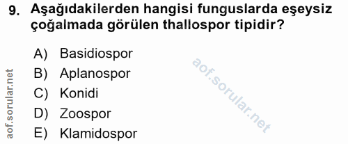 9. soru: Aşağıdakilerden hangisi funguslarda eşeysiz çoğalmada görülen thallospor tipidir? A) Basidiospor sorullar nel B) Apla…