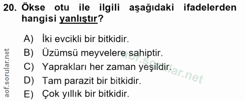 20. soru: Ökse otu ile ilgili aşağıdaki ifadelerden hangisi yanlıştır? A) Iki evcikli bir bitkidir. C) Yaprakları her zaman yeş…