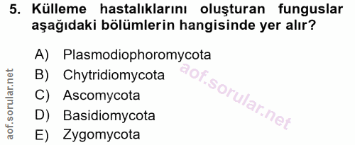 5. soru: Külleme hastalıklarını oluşturan funguslar aşağıdaki bölümlerin hangisinde yer alır? A) Plasmodiophoromycota B) Chytr…