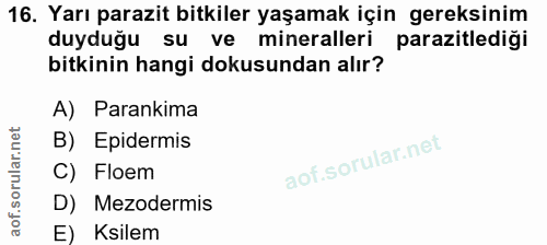 16. soru: Yarı parazit bitkiler yaşamak için gereksinim duyduğu su ve mineralleri parazitlediği bitkinin hangi dokusundan alır?…