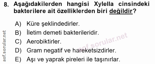 8. soru: Aşağıdakilerden hangisi Xylella cinsindeki bakterilere ait özelliklerden biri değildir? A) Küre şeklindedirler. B) Il…