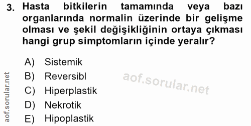 3. soru: Hasta bitkilerin tamamında veya bazı organlarında normalin üzerinde bir gelişme olması ve şekil değişikliğinin ortaya…