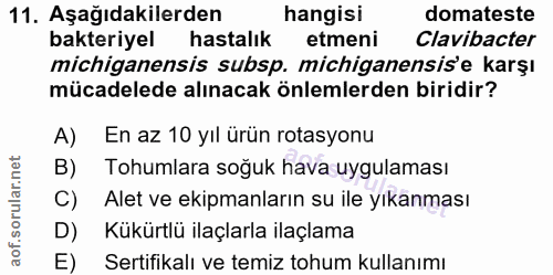 11. soru: Aşağıdakilerden hangisi domateste bakteriyel hastalık etmeni Clavibacter michiganensis subsp. michiganensis'e karşı m…