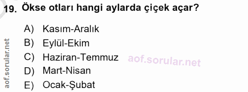 19. soru: Ökse otları hangi aylarda çiçek açar? A) Kasım-Aralık B) Eylül-Ekim C) Haziran-Temmuz D) Mart-Nisan E) Ocak-Şubat