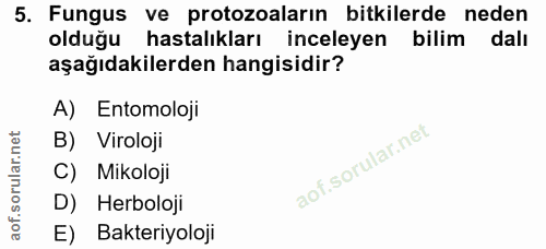 5. soru: Fungus ve protozoaların bitkilerde neden olduğu hastalıkları inceleyen bilim dalı aşağıdakilerden hangisidir? A) Ento…