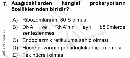 7. soru: Aşağıdakilerden hangisi prokaryotların özelliklerinden biridir? A) Ribozomlarının 80 S olması B) DNA veRNA'nin ayrı b…