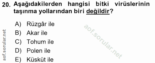 20. soru: Aşağıdakilerden hangisi bitki virüslerinin taşınma yollarından biri değildir? A) Rüzgâr ile B) Akar ile C) Tohum ile…