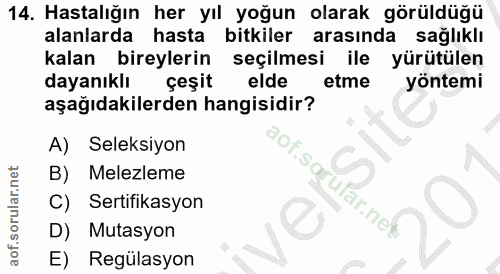 14. soru: Hastalığın her yıl yoğun olarak görüldüğü alanlarda hasta bitkiler arasında saglıklı kalan bireylerin seçilmesi ile y…