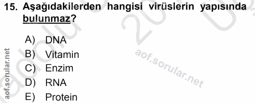 15. soru: Aşağıdakilerden hangisi virüslerin yapısında bulunmaz? A) DNA B) Vitamin C) Enzim D) RNA E) Protein