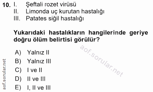 10. soru: 1. Şeftali rozet virüsü II. Limonda uç kurutan hastalığı Ill. Patates siğil hastalığı Yukarıdaki hastalıkların hangil…