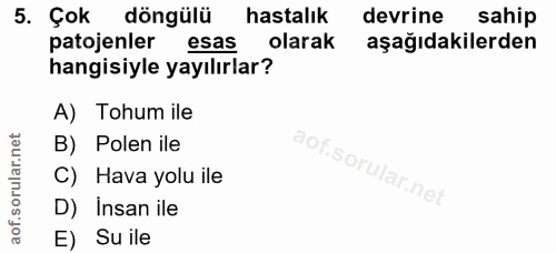 5. soru: Çok döngülü hastalık devrine sahip patojenler esas olarak aşağıdakilerden hangisiyle yayılırlar? A) Tohum ile B) Pole…