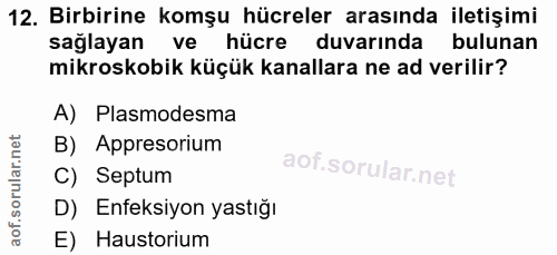 12. soru: Birbirine komşu hücreler arasında iletişimi saglayan ve hücre duvarinda bulunan mikroskobik küçük kanallara ne ad ver…
