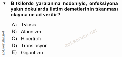7. soru: Bitkilerde yaralanma nedeniyle, enfeksiyona yakın dokularda iletim demetlerinin tıkanması olayına ne ad verilir? A) T…