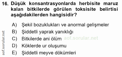 16. soru: Düşük konsantrasyonlarda herbisite maruz kalan bitkilerde görülen toksisite belirtisi aşağıdakilerden hangisidir? A)…