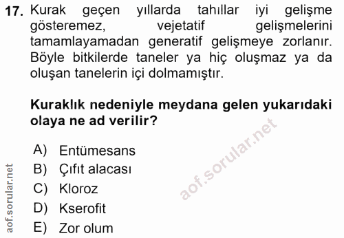 17. soru: Kurak geçen yıllarda tahıllar iyi gelişme gösteremez, vejetatif gelişmelerini tamamlayamadan generatif gelişmeye zorl…