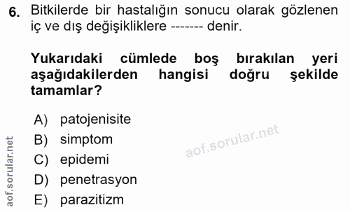 6. soru: Bitkilerde bir hastalığın sonucu olarak gözlenen iç ve dış değişikliklere -- denir. Yukarıdaki cümlede boş bırakılan…