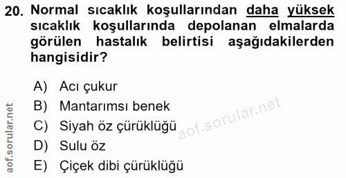 20. soru: Normal sıcaklık koşullarından daha yüksek sıcaklık koşullarında depolanan elmalarda görülen hastalık belirtisi aşağıd…