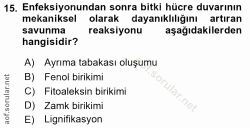 15. soru: Enfeksiyonundan sonra bitki hücre duvarının mekaniksel olarak dayanıklılığını artıran savunma reaksiyonu aşağıdakiler…