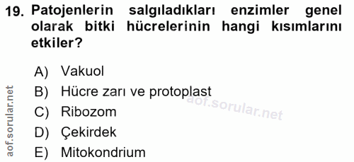 19. soru: Patojenlerin salgiladıkları enzimler genel olarak bitki hücrelerinin hangi kısımlarını etkiler? A) Vakuol B) Hücre za…