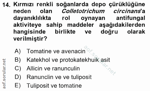 14. soru: Kırmızı renkli soğanlarda depo çürüklüğüne neden olan Colletotrichum circinans'a dayanıklılıkta rol oynayan antifunga…