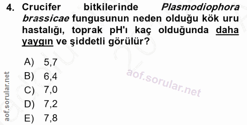 4. soru: Crucifer bitkilerinde Plasmodiophora brassicae fungusunun neden olduğu kök uru hastalığı, toprak pH'ı kaç olduğunda d…