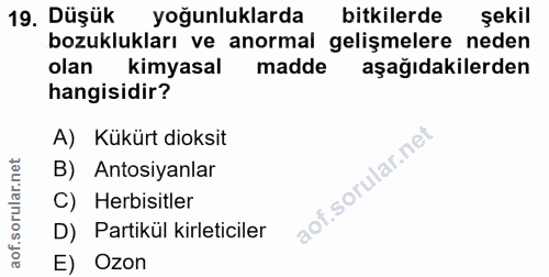 19. soru: Düşük yoğunluklarda bitkilerde şekil bozuklukları ve anormal gelişmelere neden olan kimyasal madde aşağıdakilerden ha…