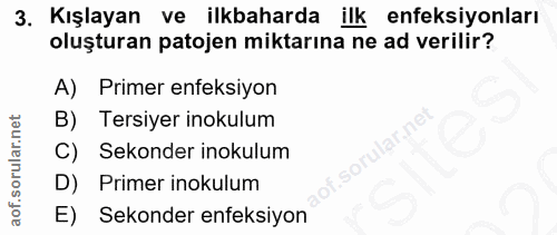 3. soru: Kışlayan ve ilkbaharda ilk enfeksiyonları oluşturan patojen miktarına ne ad verilir? A) Primer enfeksiyon B) Tersiyer…