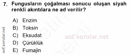 7. soru: Fungusların çoğalması sonucu oluşan siyah renkli akıntılara ne ad verilir? A) Enzim B) Toksin C) Eksudat D) Çürüklük…