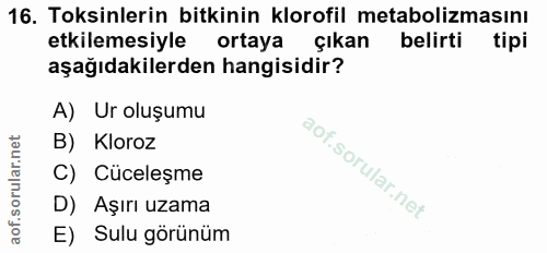 16. soru: Toksinlerin bitkinin klorofil metabolizmasını etkilemesiyle ortaya çıkan belirti tipi aşağıdakilerden hangisidir? A)…