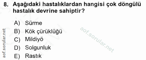 8. soru: Aşağıdaki hastalıklardan hangisi çok döngülü hastalık devrine sahiptir? A) Sürme B) Kök çürüklüğü C) Mildiyö D) Solgu…
