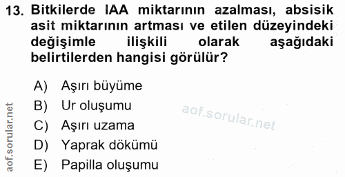 13. soru: Bitkilerde IAA miktarının azalması, absisik asit miktarının artması ve etilen düzeyindeki değişimle ilişkili olarak a…