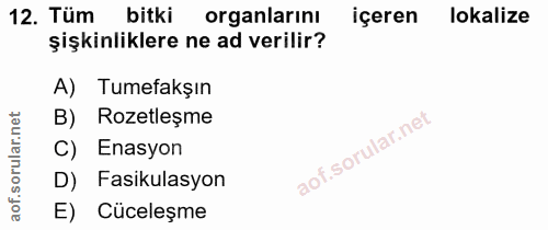 12. soru: Tüm bitki organlarını içeren lokalize şişkinliklere ne ad verilir? A) Tumefakşın B) Rozetleşme C) Enasyon D) Fasikula…