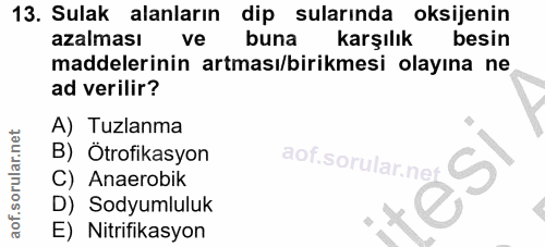 13. soru: Sulak alanların dip sularında oksijenin azalması ve buna karşılık besin maddelerinin artması/birikmesi olayına ne ad…