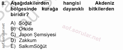 8. soru: Aşağıdakilerden hangisi Akdeniz bölgesinde kurağa dayanıklı bitkilerden biridir? A) Söğüt B) Orkide C) Japon Şemsiyes…