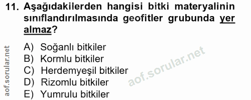 11. soru: Aşağıdakilerden hangisi bitki materyalinin sınıflandırılmasında geofitler grubunda yer almaz? A) Soğanlı bitkiler B)…
