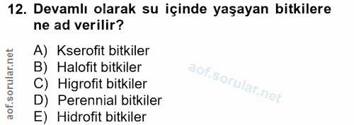 12. soru: Devamlı olarak su içinde yaşayan bitkilere ne ad verilir? A)Kserofit bitkiler B) Halofit bitkiler C) Higrofit bitkile…