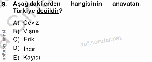 9. soru: Aşağıdakilerden hangisinin anavatanı Türkiye değildir? A) Ceviz orular.net B) Vişne C) Erik D) Incir aof. E) Kayısı